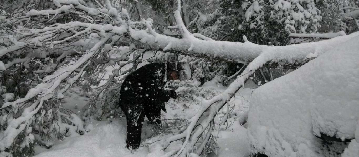 Δήμαρχος Διονύσου: «Χωρίς ρεύμα για έκτη μέρα - Είμαστε σε απόγνωση»